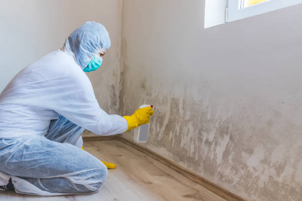 Hvac And Air Duct Mold Remediation inspection of HVAC system in Waverly